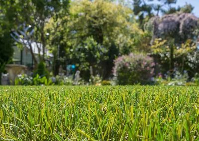 Natural looking artificial grass