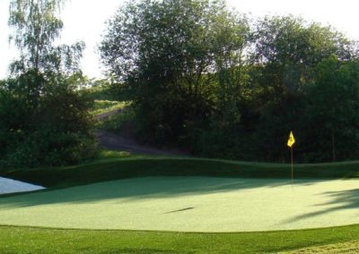 Natural looking artificial grass